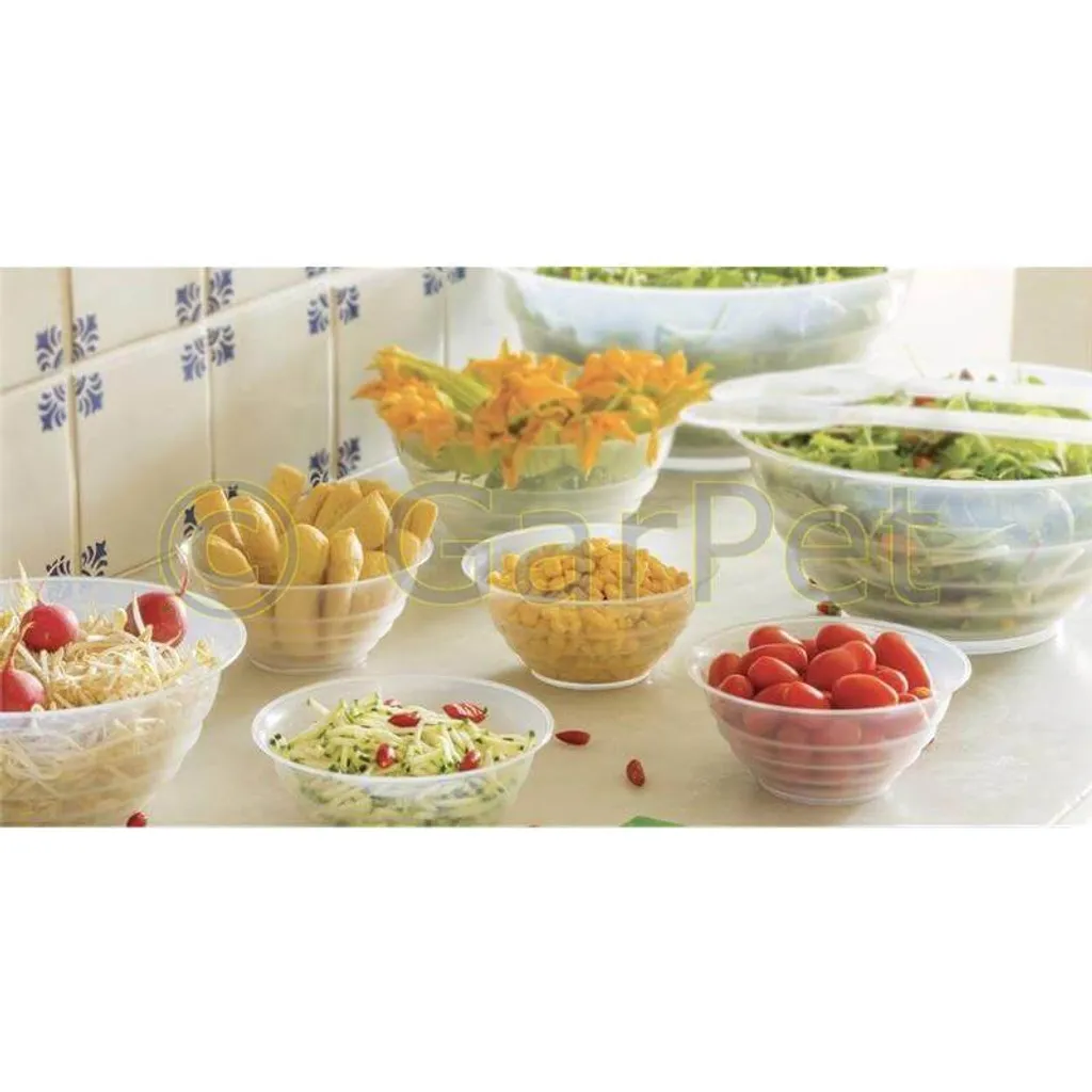 Salatschälchen Dessert Salat Schüssel Schalen Müsli Campinggeschirr Serie Glass Gr.3