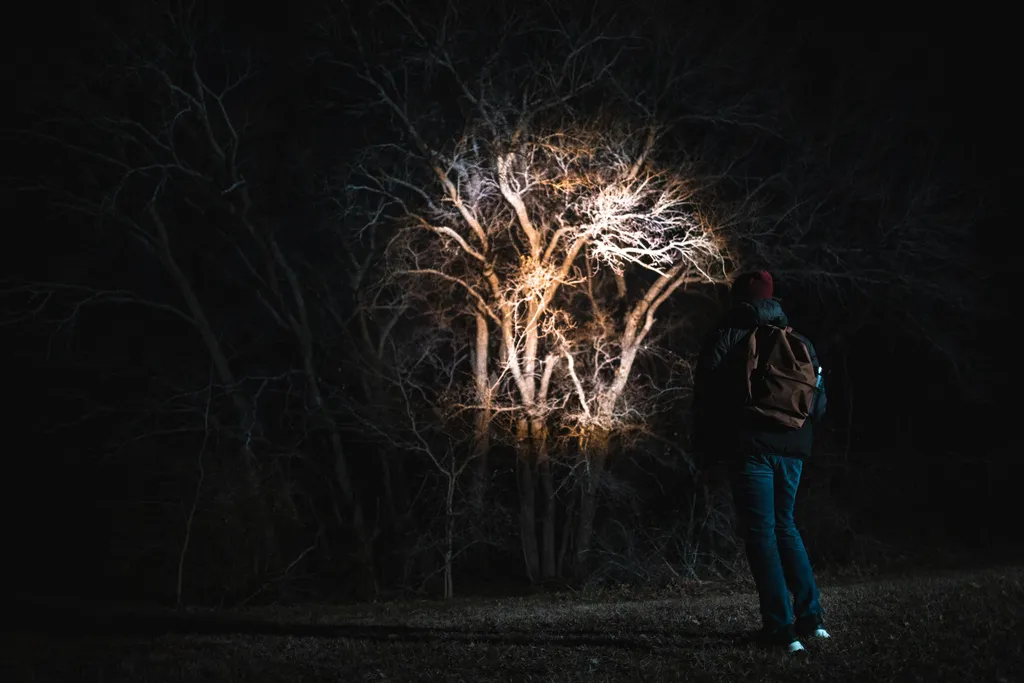 Nebo LED Taschenlampe FRANKLIN TWIST RC – Bild 10