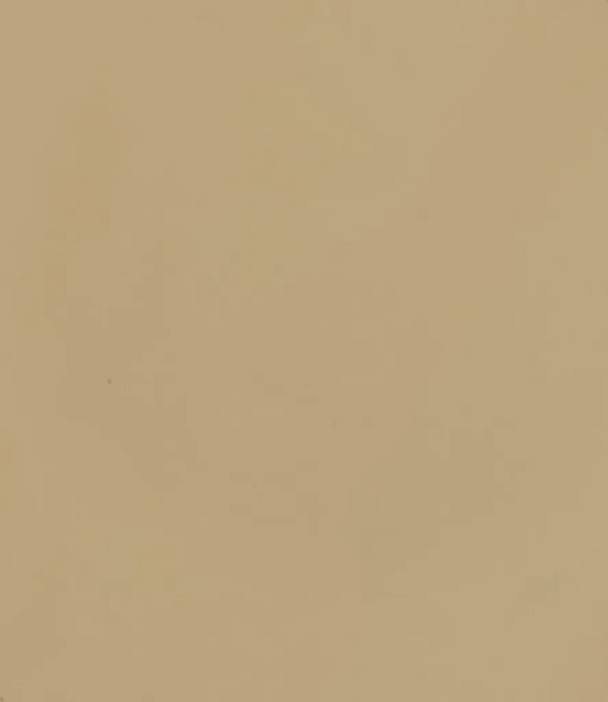 Where Tomorrow Pop Up Duschzelt 155x155x220 Cm Robust Braun – Bild 7