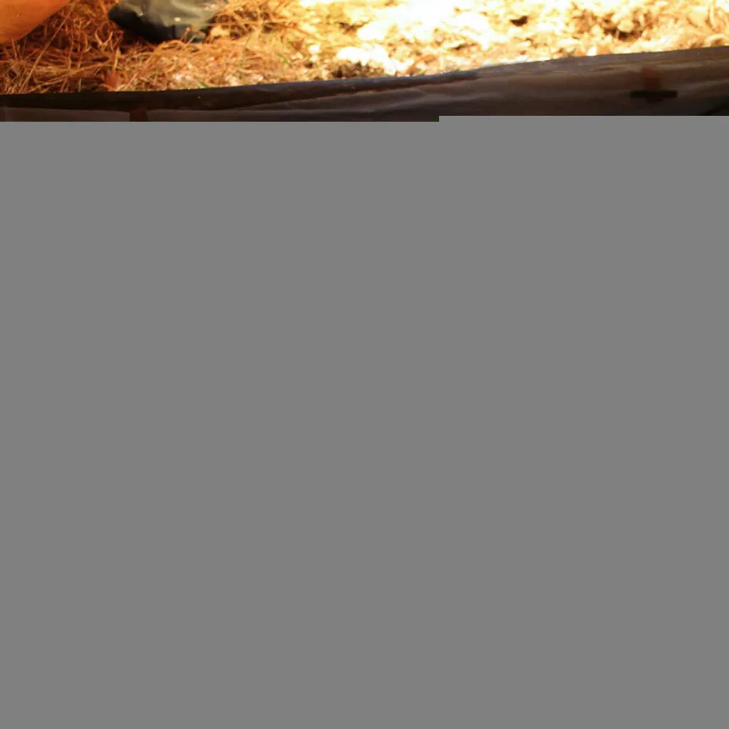 Hand Kurbel Taschenlampe, Keine Batterie-LED Helles Licht-Set/4: – Bild 8