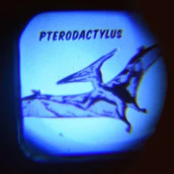 Projektor-Taschenlampe, Dinosaurier, Rex London -Campingbedarf Geschäft d2fda8e855e987a16abf9e6ef7d6e60a